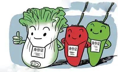 進出口食品添加劑海關監管指南